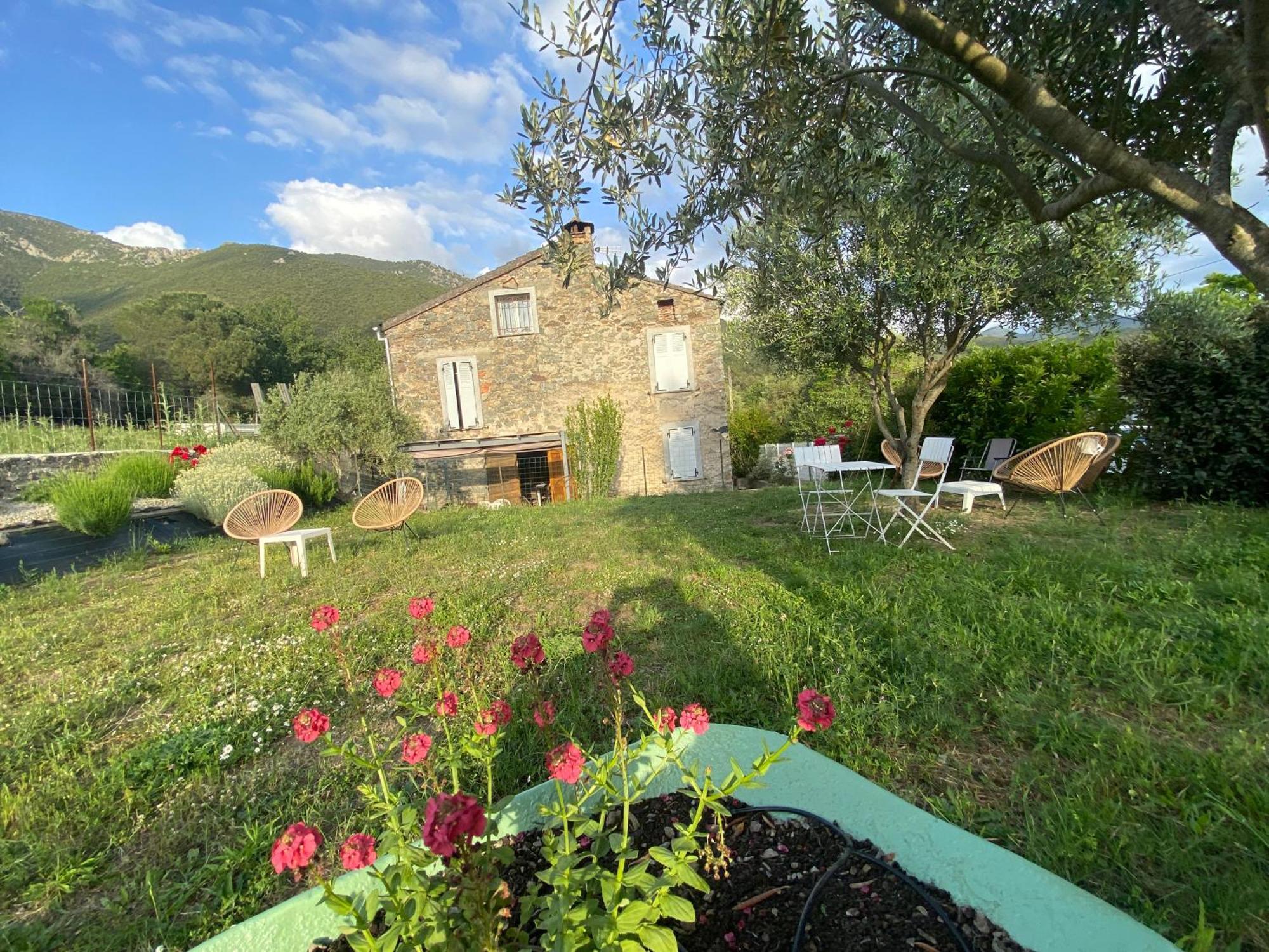 Casa Orani Villa Ponte-Leccia Kültér fotó